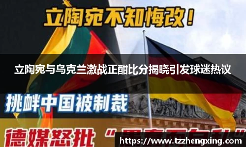 立陶宛与乌克兰激战正酣比分揭晓引发球迷热议